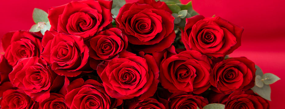 Why red roses for Valentine's Day?