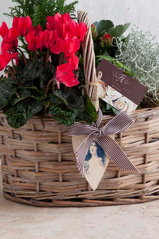 seasonal planted basket 1